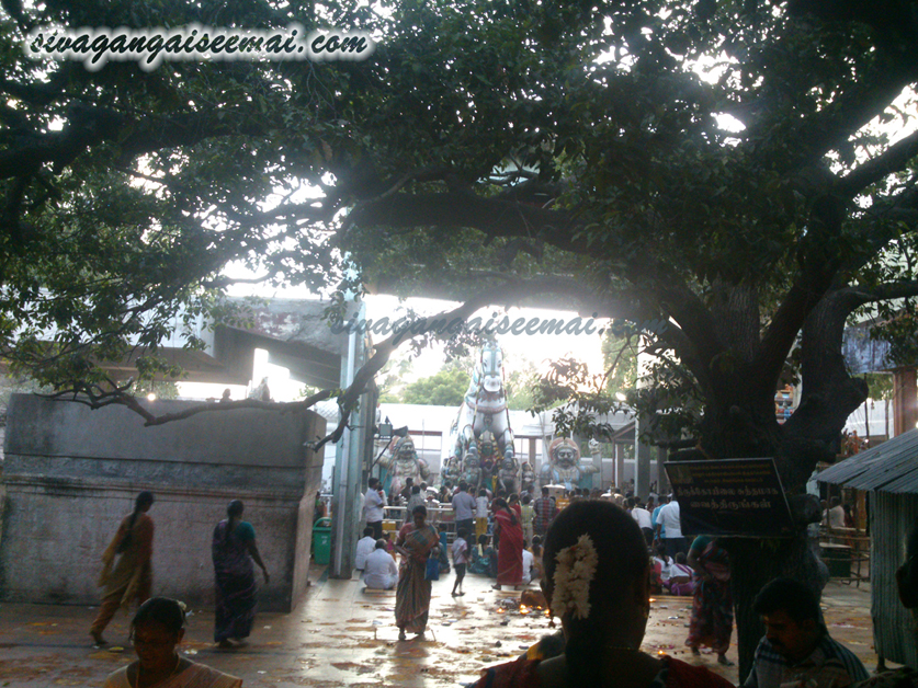 Madappuram Kali Temple Bus Route and Pooja Timings