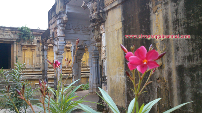 Maruthu Brothers Back Side View of Kalayarkoil Temple